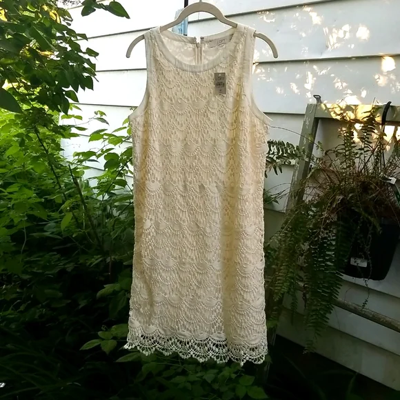 NWT Ann Taylor LOFT creme lace crochet overlay dress sz: 8 P